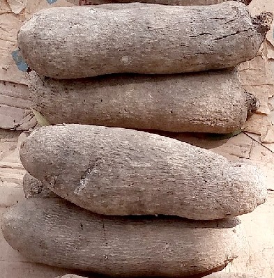 African Yams